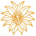 C1: Single Color Design---Gold(Isacord 40 #1185)