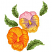 C1: Left Flower---Bright Yellow(Isacord 40 #1124)&#13;&#10;C2: Left Flower Shading---Spanish Gold(Isacord 40 #1065)&#13;&#10;C3: Left Flower Shading---Flamingo(Isacord 40 #1020)&#13;&#10;C4: Right Flower---Buttercup(Isacord 40 #1135)&#13;&#10;C5: Right Fl