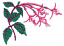 C1: Pink
C2: Dk. Pink
C3: Green
C4: Dk. Pink
C5: Purple