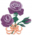 C1: Dk. Purple&#13;&#10;C2: Lt. Purple&#13;&#10;C3: Purple&#13;&#10;C4: Green&#13;&#10;C5: Lt. Orange