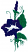C1: Green
C2: Purple
C3: White