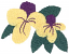 C1: Dk. Green&#13;&#10;C2: Lt. Yellow&#13;&#10;C3: Lt. Purple