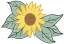 C1: Green
C2: Dk. Green
C3: Yellow
C4: Lt. Brown
C5: Dk. Yellow