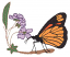 C1: Purple
C2: Dk. Purple
C3: Green
C4: Lt. Brown
C5: Lt. Orange
C6: Orange
C7: Black