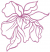 C1: Lt. Purple