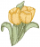 C1: Lt. Green
C2: Green
C3: Lt. Yellow
C4: Yellow