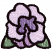 C1: Green
C2: Purple
C3: Dk. Purple
C4: Lt. Purple
C5: Black