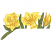 C1: Lt. Avocado
C2: Med. Avocado
C3: Lt. Yellow
C4: Yellow
C5: Dk. Yellow
C6: Lt. Avocado
C7: Med. Avocado