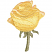 C1: Lt. Avocado3
C2: Med. Avocado2
C3: Yellow2
C4: Lt. Blush2
C5: Med. Yellow3