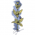 C1: Lt. Blue&#13;&#10;C2: Blue&#13;&#10;C3: Lt. Yellow&#13;&#10;C4: Yellow&#13;&#10;C5: Lt. Green&#13;&#10;C6: Dk. Brown&#13;&#10;C7: Lt. Blue&#13;&#10;C8: Dk. Blue&#13;&#10;C9: Brown&#13;&#10;C10: Dk. Blue