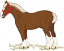 C1: Lt. Brown
C2: White
C3: Brown
C4: Off-White
C5: Dk. Brown
C6: Lt. Tan
C7: Red
C8: Green