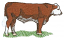 C1: Green&#13;&#10;C2: Brown&#13;&#10;C3: White&#13;&#10;C4: Off-White&#13;&#10;C5: Dk. Brown