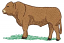 C1: Green
C2: Brown
C3: Black
C4: Tan
C5: Dk. Brown