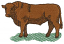 C1: Green
C2: Brown
C3: Dk. Brown