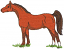 C1: Brown
C2: White
C3: Black
C4: Dk. Brown
C5: Black
C6: Green