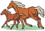 C1: Green
C2: Rust
C3: Off-White
C4: Black
C5: Dk. Rust
C6: Brown
C7: Black