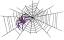 C1: Black
C2: Red
C3: Lt. Purple
C4: Dk. Purple
C5: Yellow
