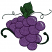 C1: Green
C2: Dk. Green
C3: Purple
C4: Dk. Purple
C5: Lt. Gray
