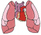 C1: Lt. Pink
C2: Pink
C3: Tan
C4: Purple
C5: Red
C6: Black