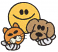 C1: Yellow&#13;&#10;C2: Brown&#13;&#10;C3: Lt. Orange&#13;&#10;C4: Off-White&#13;&#10;C5: White&#13;&#10;C6: Black
