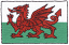 C1: White
C2: Green
C3: Black
C4: Red
C5: Black