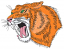 C1: Orange
C2: White
C3: Pink
C4: Green
C5: Black