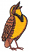 C1: Yellow
C2: Brown
C3: Dk. Brown
C4: Black