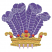 C1: Purple
C2: Lt. Purple
C3: Dk. Yellow
C4: Red
C5: Lt. Purple