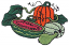 C1: Orange
C2: Lt. Lt. Green
C3: Green
C4: Pink
C5: Lt. Green
C6: Black