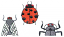 C1: Dk. Gray
C2: Off-White
C3: Orange
C4: Black
C5: Red