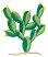 C1: Lt. Green
C2: Green
C3: Tan
C4: Yellow