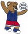 Volleyball Bear