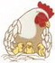 Chickens
