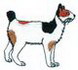 Japanese Bobtail