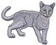 Russian Blue