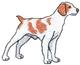 Brittany Spaniel