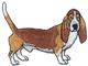 Basset Hound