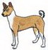 Basenji