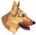 German Shepherd Head