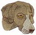 Weimaraner Head