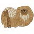 Pekingese