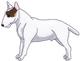 Bull Terrier