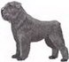 Bouvier Des Flandres