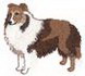 Shetland Sheepdog