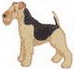 Welsh Terrier