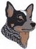 Australian Cattle Dog