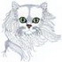 Chinchilla Persian