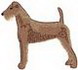 Irish Terrier