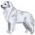 Hungarian Kuvasz