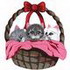 Cats In Basket